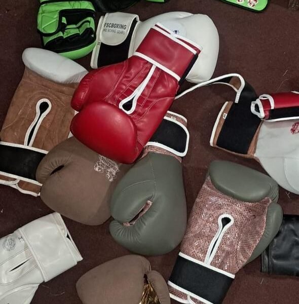 Assorted MMA & Boxing Gear Collection