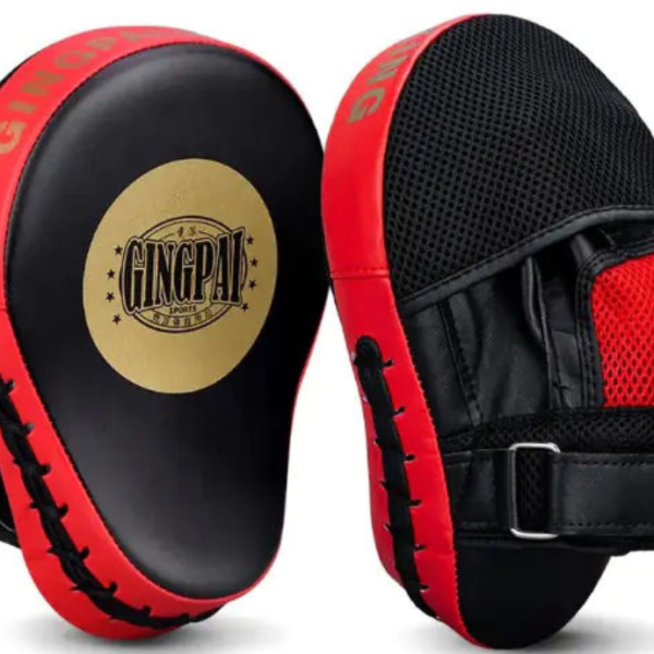 Gingpai Focus Mitts