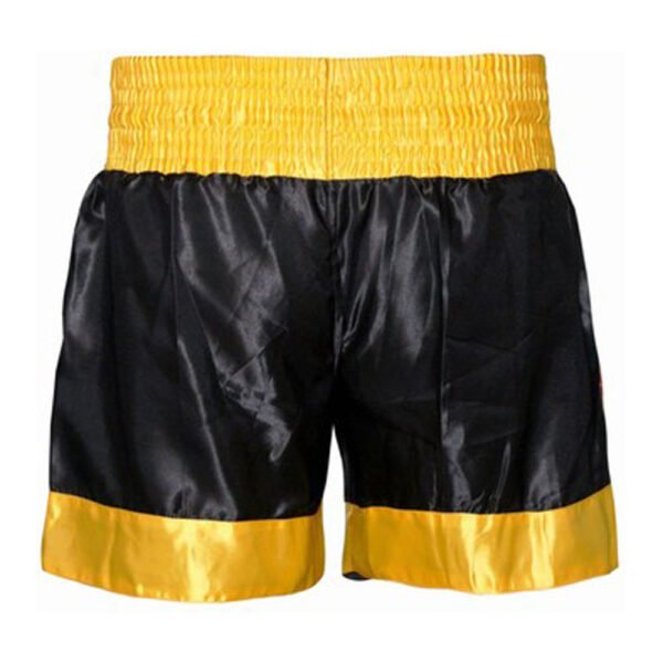 Professional Boxing Fight Shorts